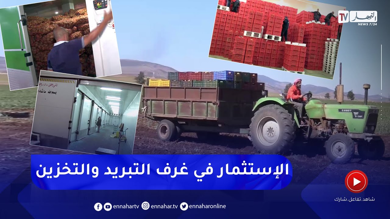 فلاحة: تشجيع الإستثمار الخاص في مجال التبريد.. نحو استقرار السوق طوال السنة
