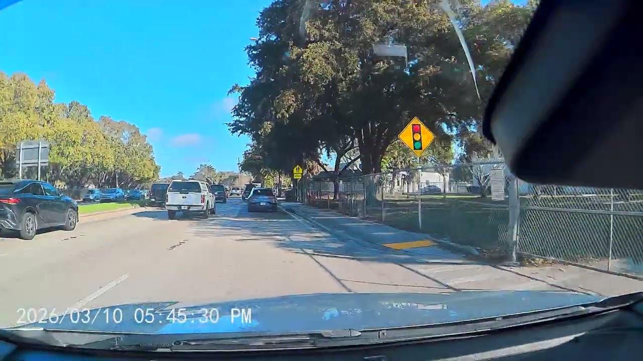 Only in Florida: The Most Unreal Highway Moment Ever Recorded