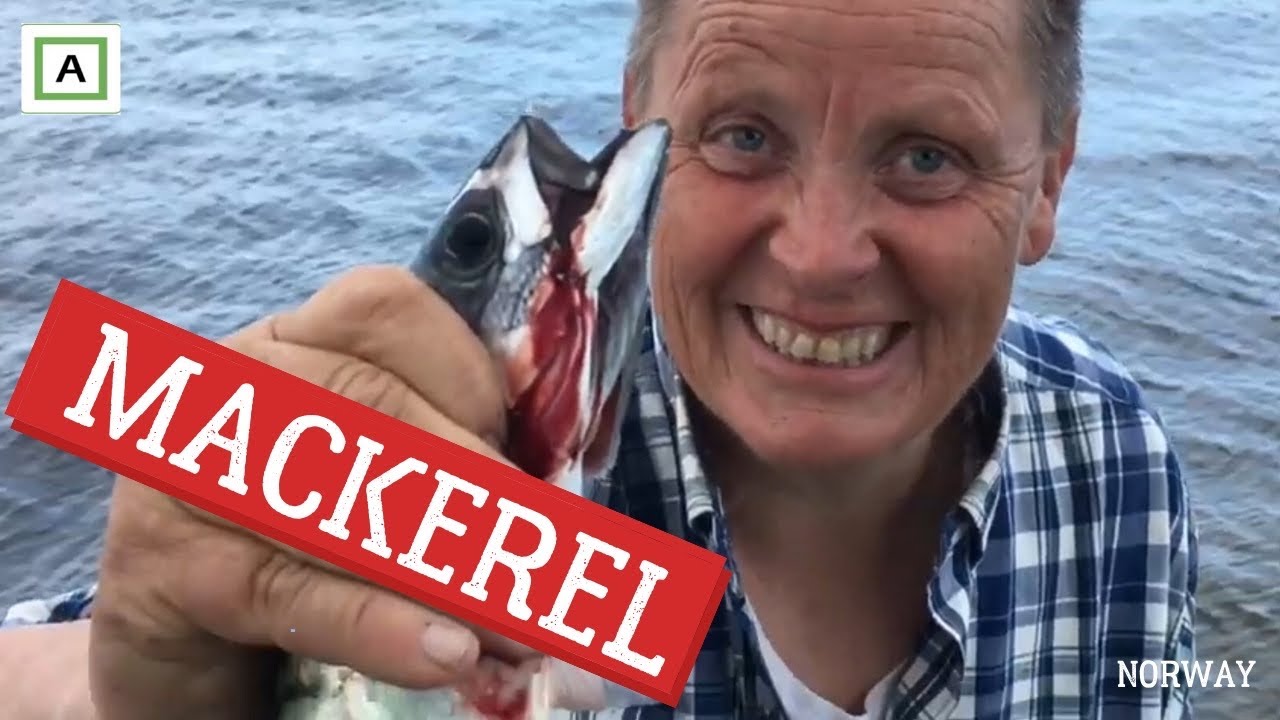 Fiskelykke og einerrøkt makrell