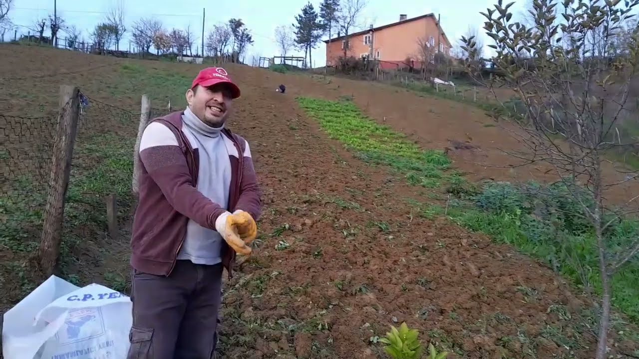 KARDAN ÖNCEKİ SON HAZIRLIKLAR