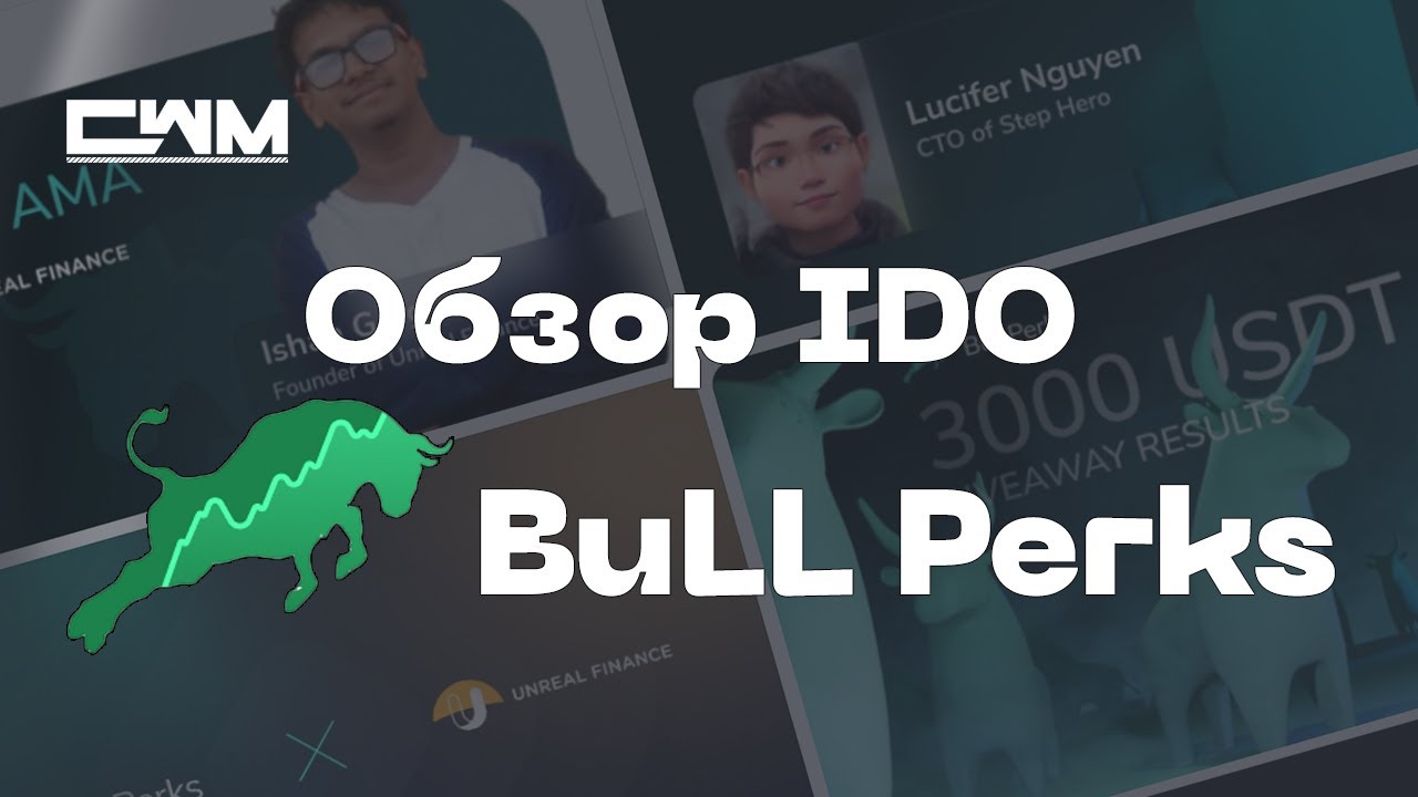 Обзор IDO Launch Pad площадки BullPerks.