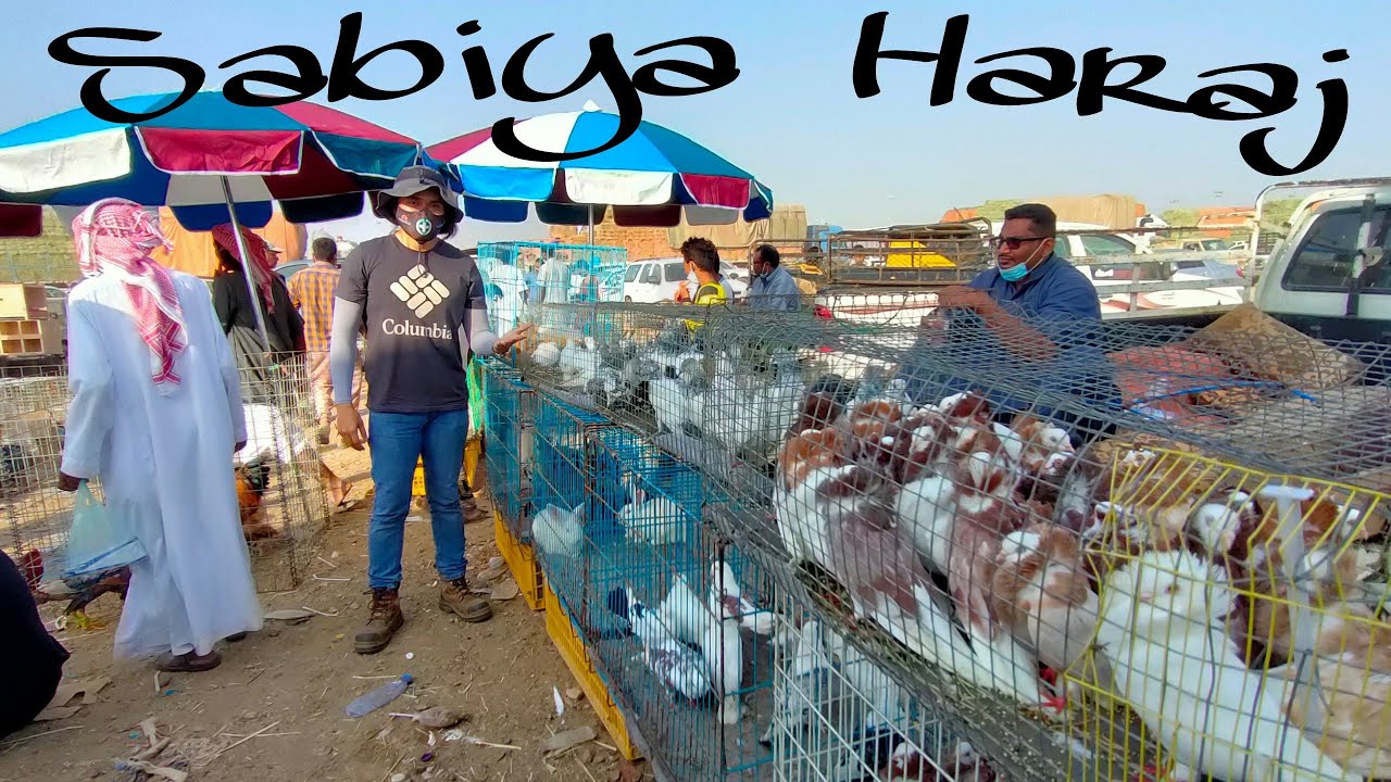 Haraj Sabya Jizan
