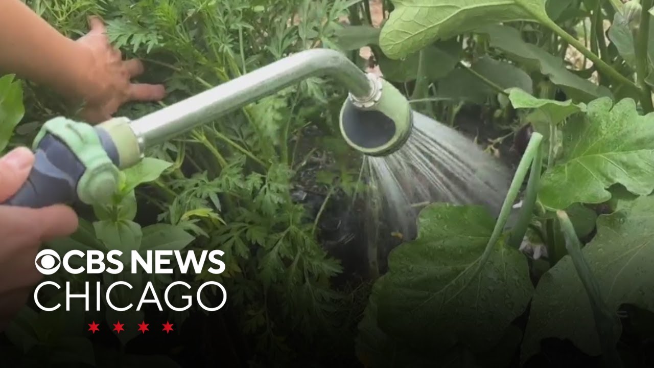 Gardening coach helps create raised bed gardens at clients' homes