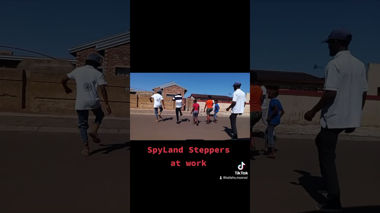 SpyLand Steppers at Work!!