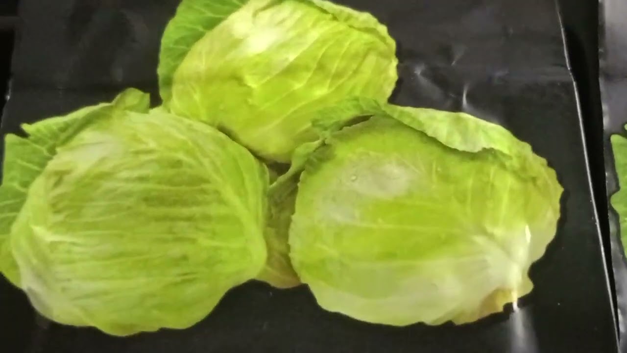 Огляд касети для кабачків,огірків та кавунів.#garden #моєгосподарство #кавуни#кабачки