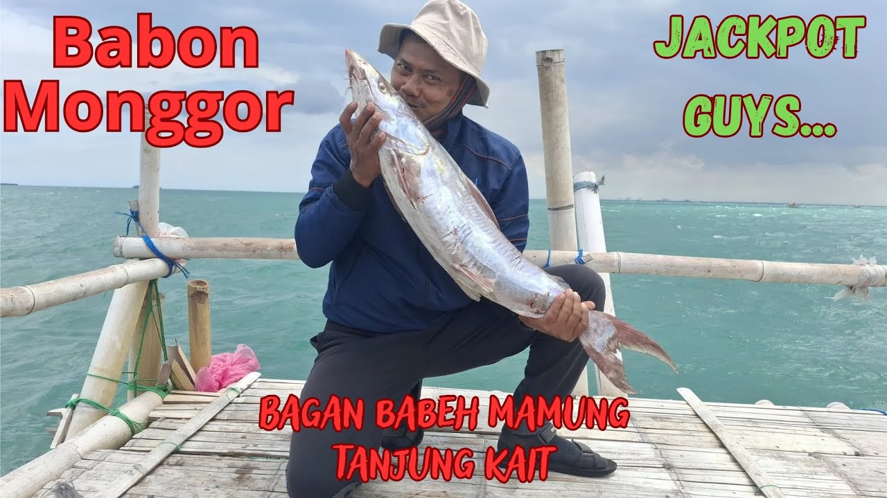 Eduunnnn!!!!! Tarikan ikan manyung jangan coba-coba pakai peranti yang kecil guysss...