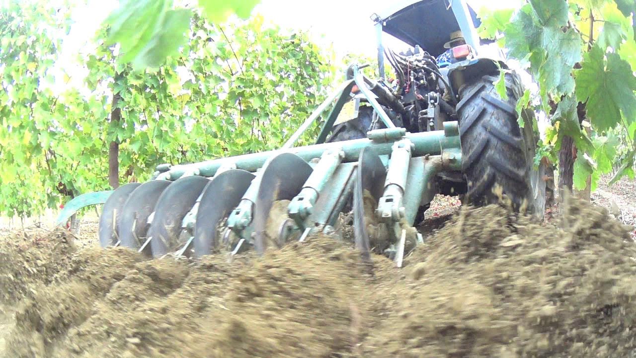 Semina sovescio in vigneto 2021, puntata 1, preparazione terreno con aratro a dischi.