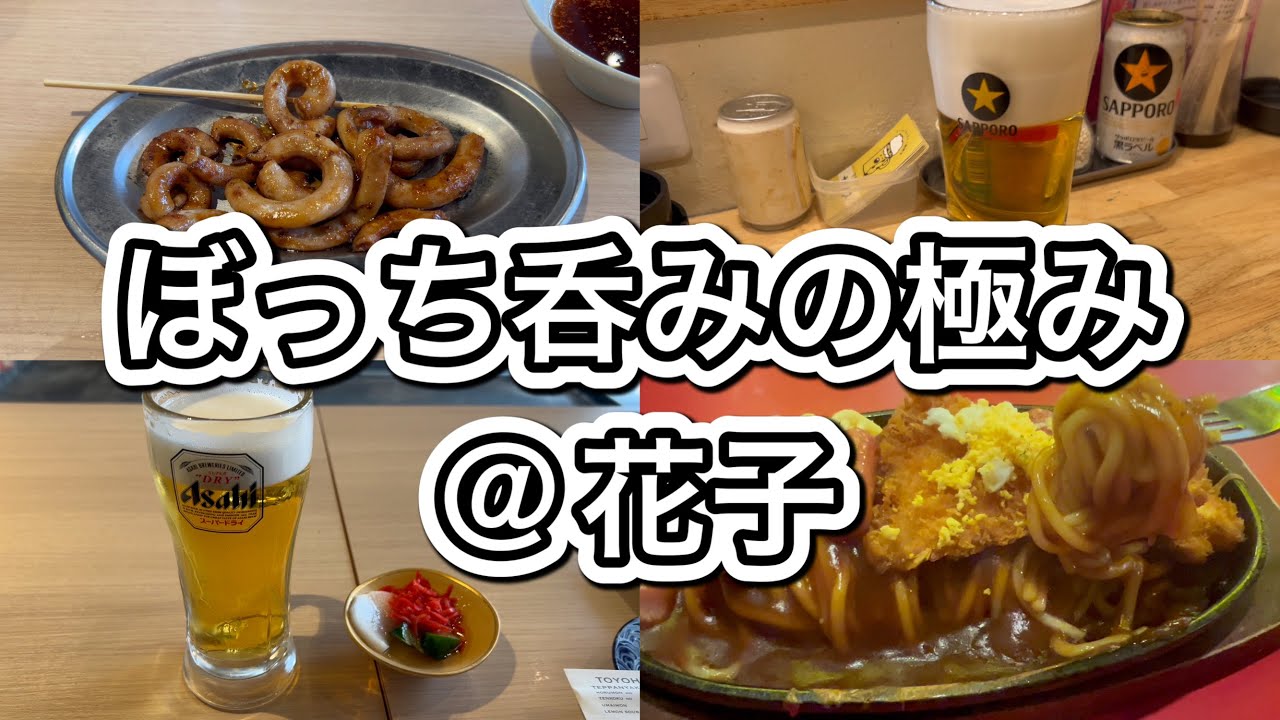 【豊橋呑み】好きな時に好きな物を好きなだけ食べる！呑む！