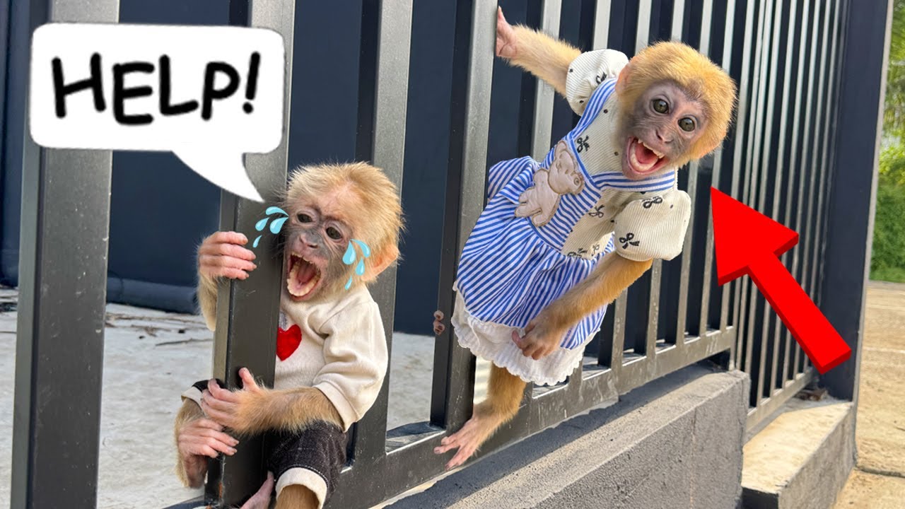 Can’t stop laughing Lucky and Sunny had a face disaster – what happened! 😂😱
