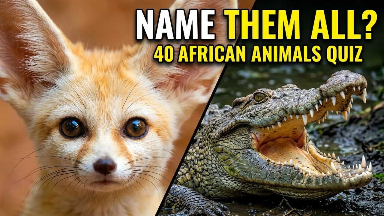 Can You Name All 40 African Animals? 🌍 | Animal Quiz