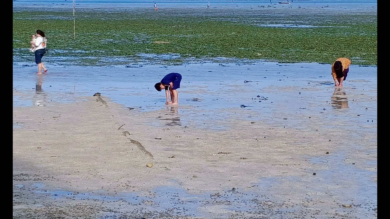 The sound of the waves makes you feel comfortable