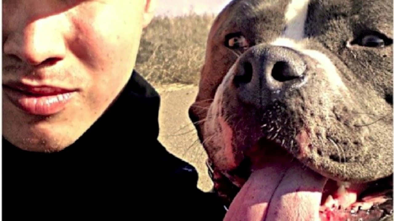 Mac Mase - All Dogs Go To Heaven (RIP VITO)