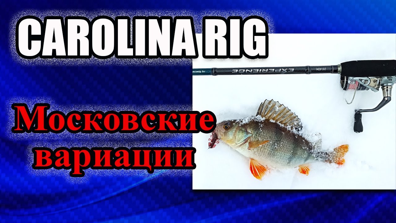 Carolina Rig /Каролинская оснастка. Московские вариации