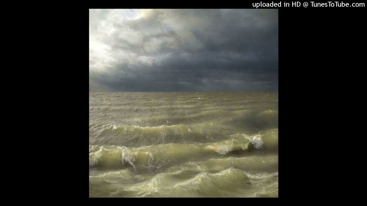 flansie + goontex type beat 