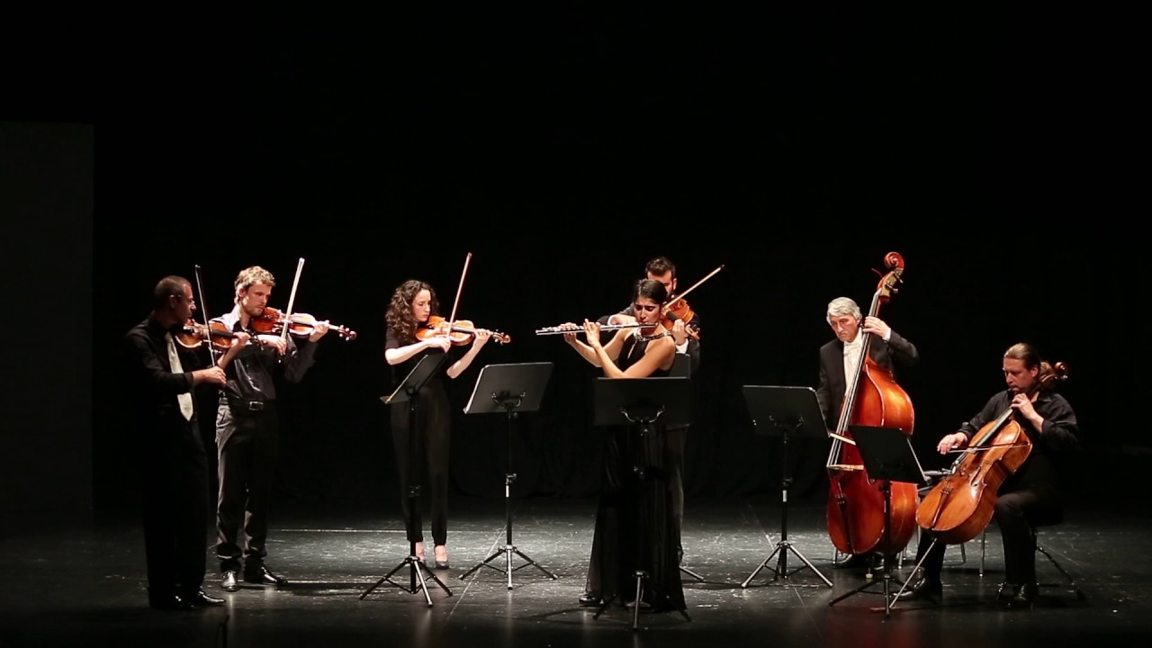 Orquesta de C&aacute;mara Filarmon&iacute;a de Colonia