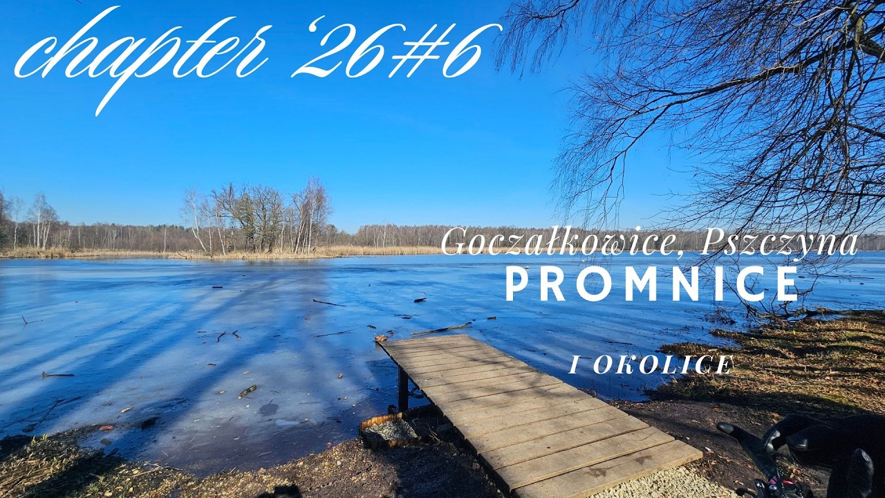 Pszczyna, Promnice i leśne okolice