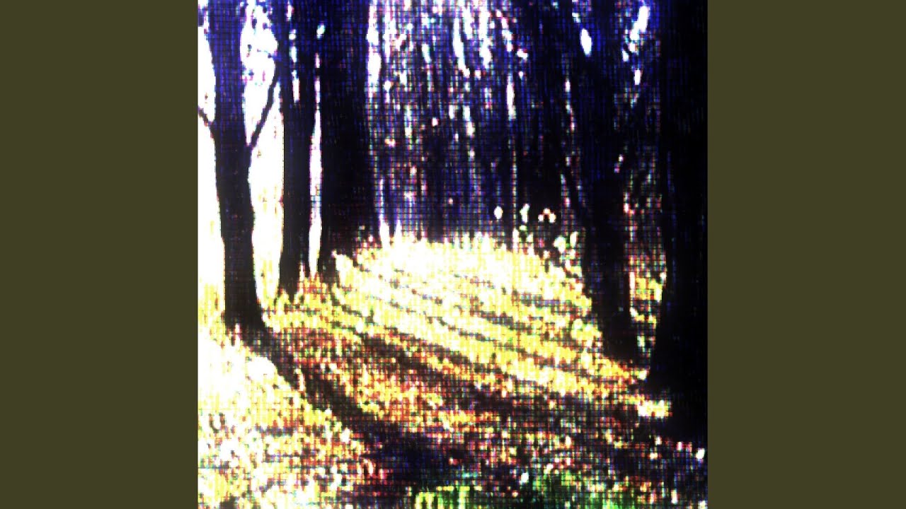 Digital Memory