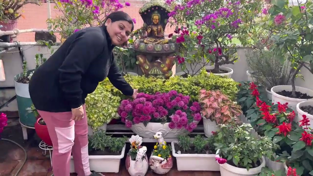 बहुत पैसे खर्च करने की जरूरत नहीं कुछ तरीके से महगे पौधे घर में तैयार कर सकते हो ||