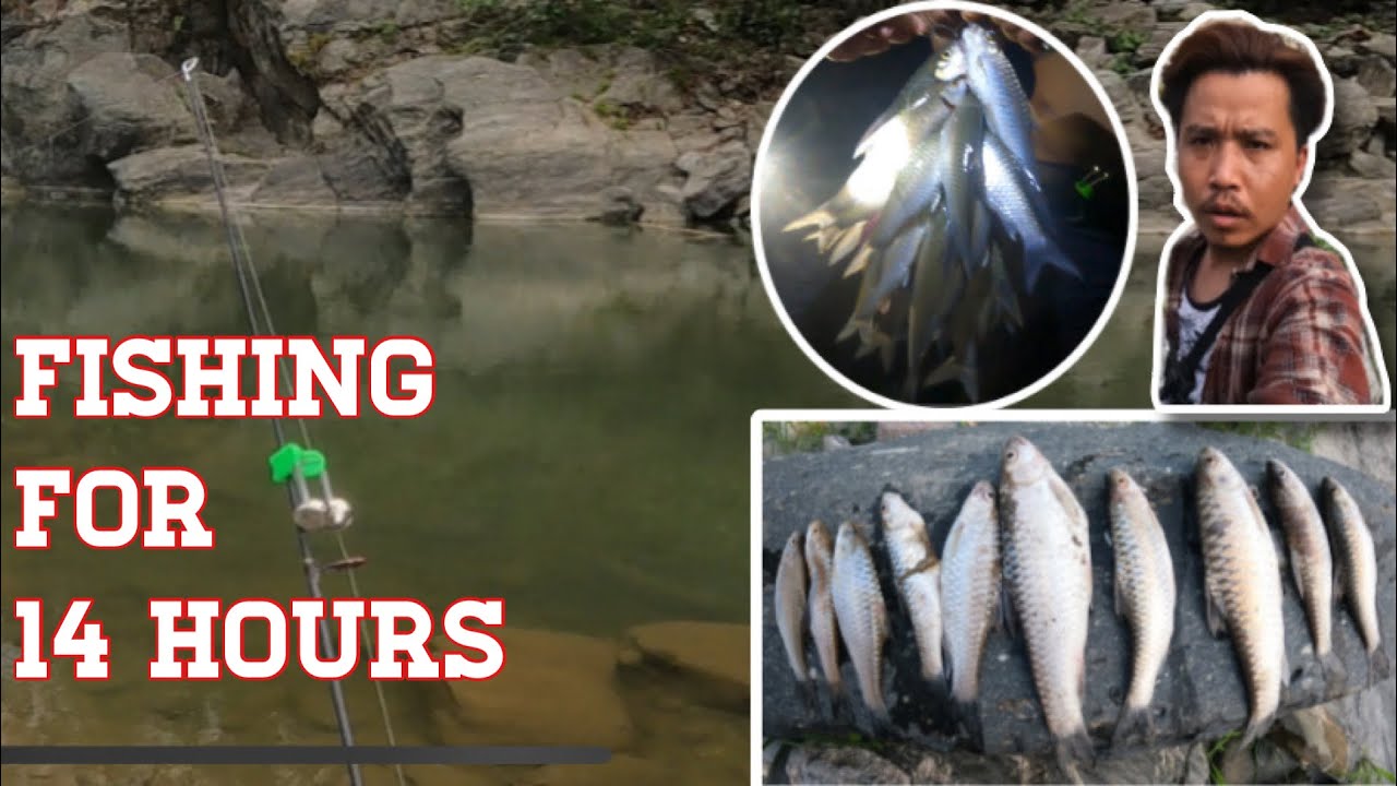 Rangeet river sikkim | fishing  copper masheer day and night