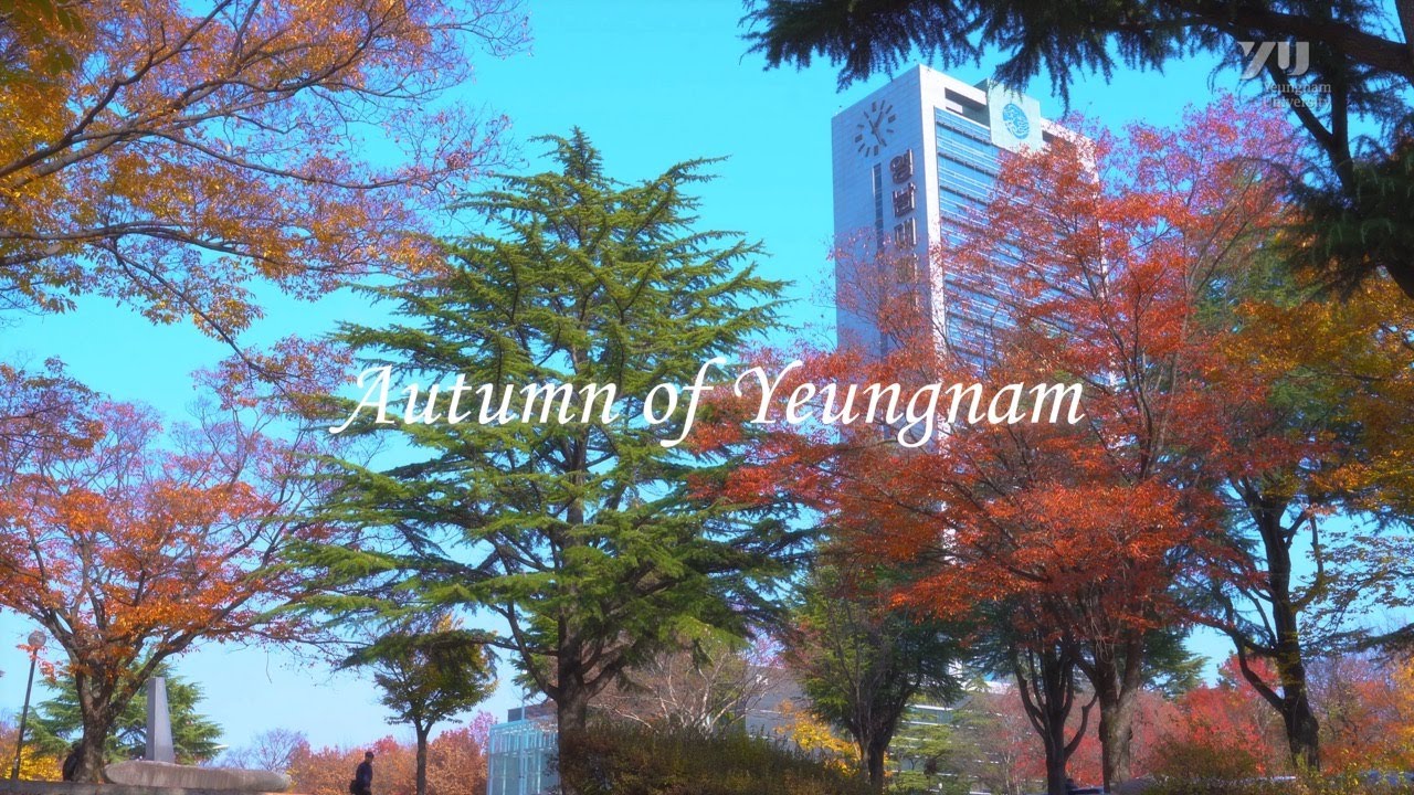 Autumm of Yeungnam : 영남대학교 가을 캠퍼스