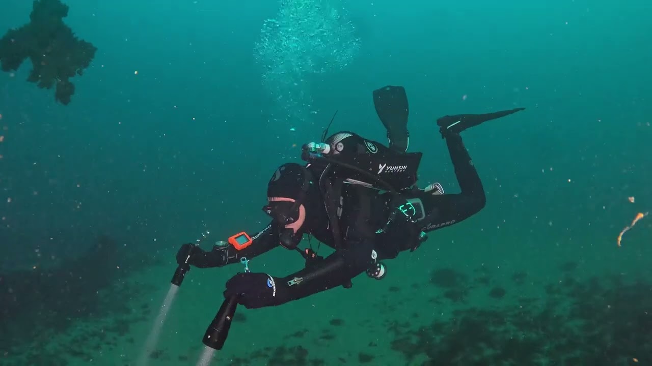 Exploring La Gabarra with Skywoods WVL7000 videolight | Historic Dive Beneath the Cantabrian Sea 🌊⚓