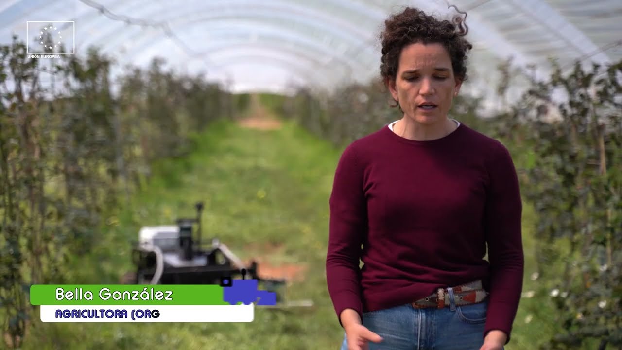 BioTerraBot: Robot para el mantenimiento de cubiertas vegetales en cultivos ecológicos.