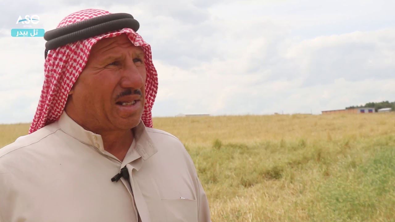 تضرر المحاصيل الزراعية في ريف الحسكة بسبب البرد