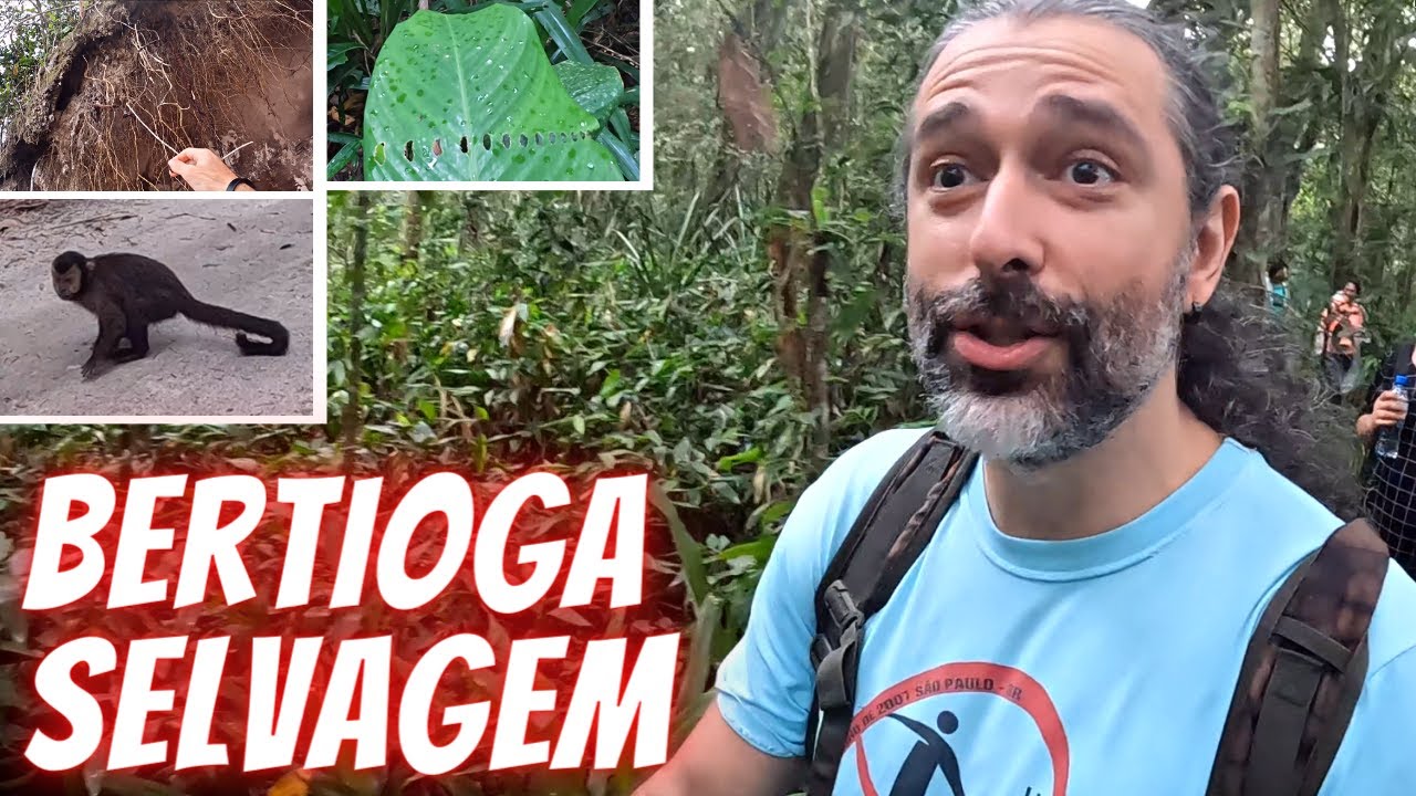Trilha da PRAIA DE ITAGUARÉ | Bertioga-SP