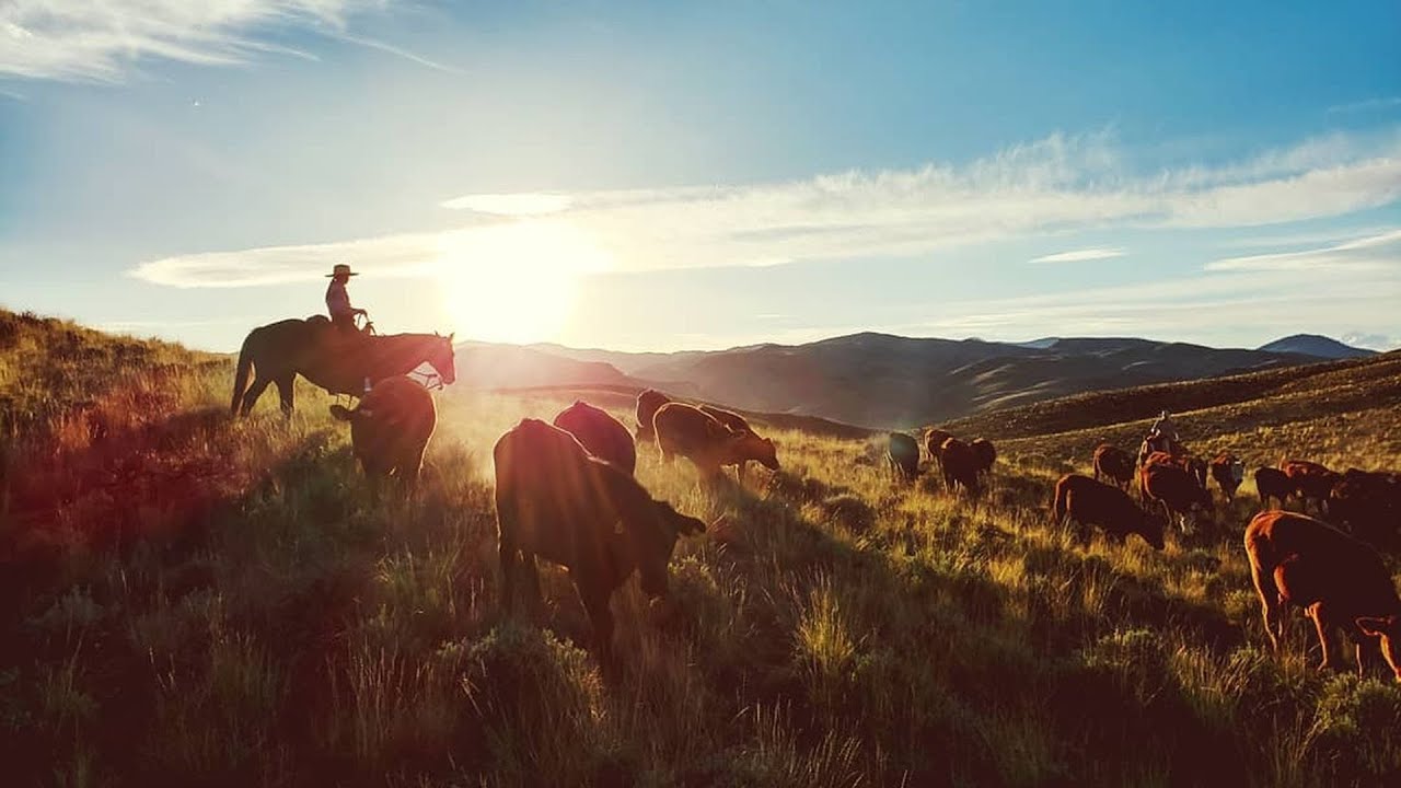 Inherding: A New Paradigm in Rangeland Grazing