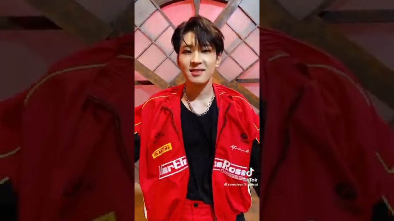 Seventeen HOT Dance Challenge TikTok Compilation #seventeen #세븐틴 #facethesun #tiktok