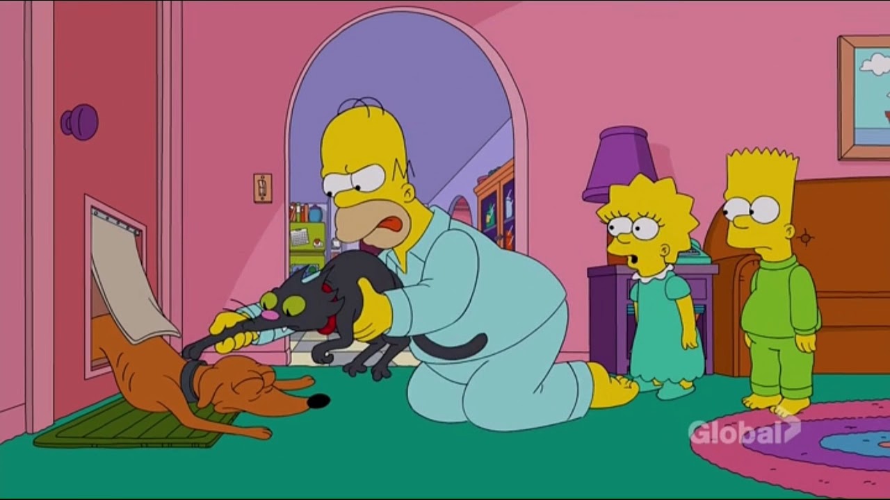 Simpsons - Look what the cat dragged in