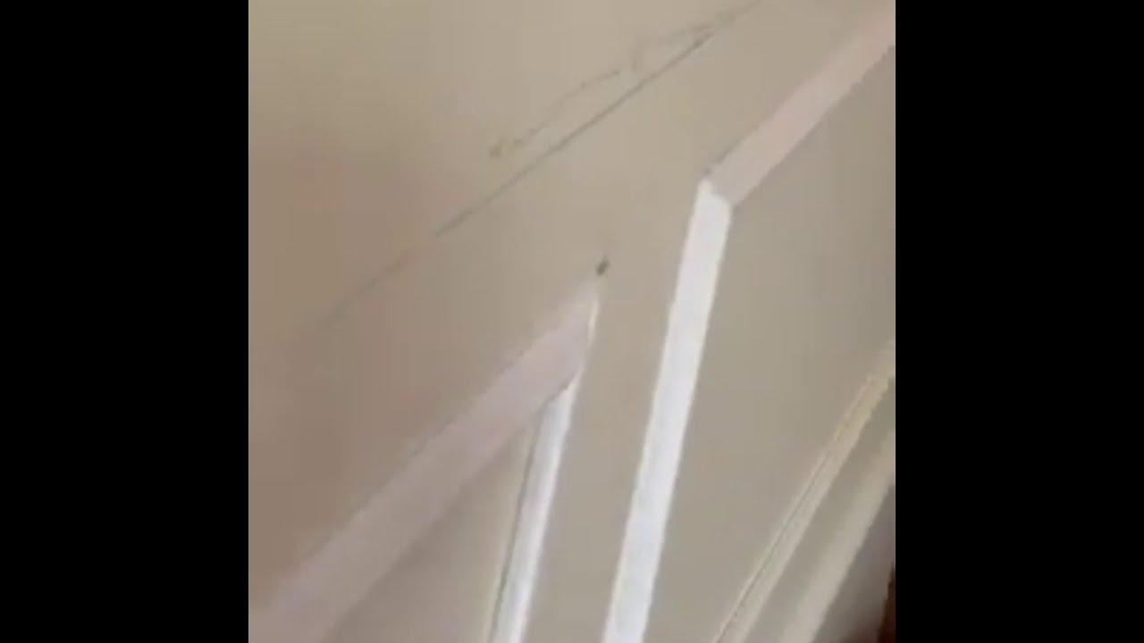 What is wainscoting?