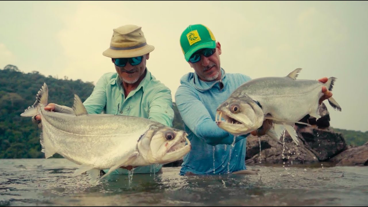 Fly Fishing for Payara in the Brazilian Amazon
