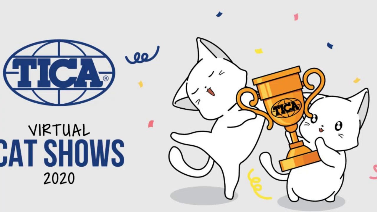 TICA Virtual Cat Show Congratulations 2020