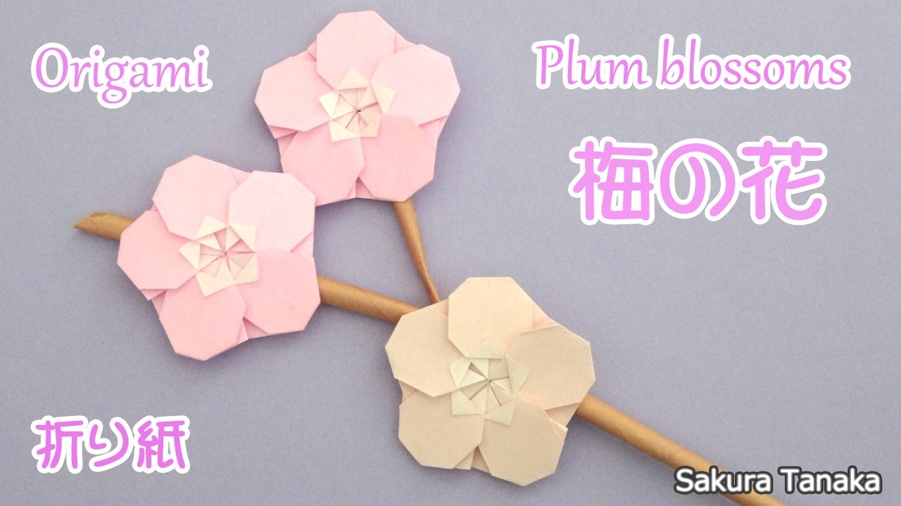 【花の折り紙】梅の花 折り方 字幕解説あり / Origami Plum blossoms