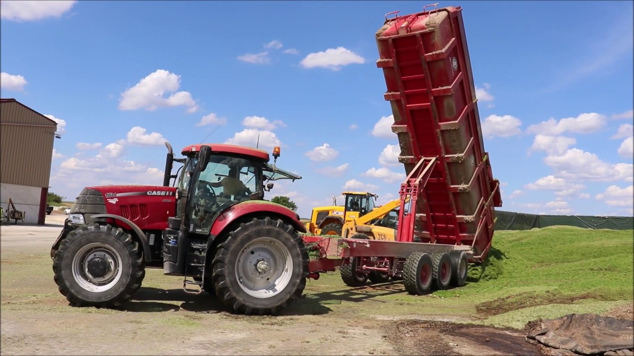 Ensilage de seigle pour la méthanisation / Claas Jaguar 960 & 950 / New Holland / Case IH / JCB