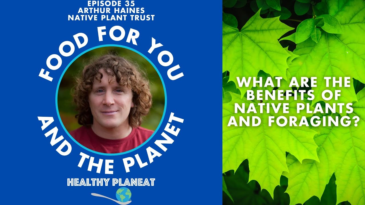 What are the benefits of native plants and foraging?