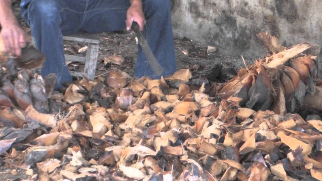 Elaboración artesanal del mezcal, Miahuatlán Oaxaca