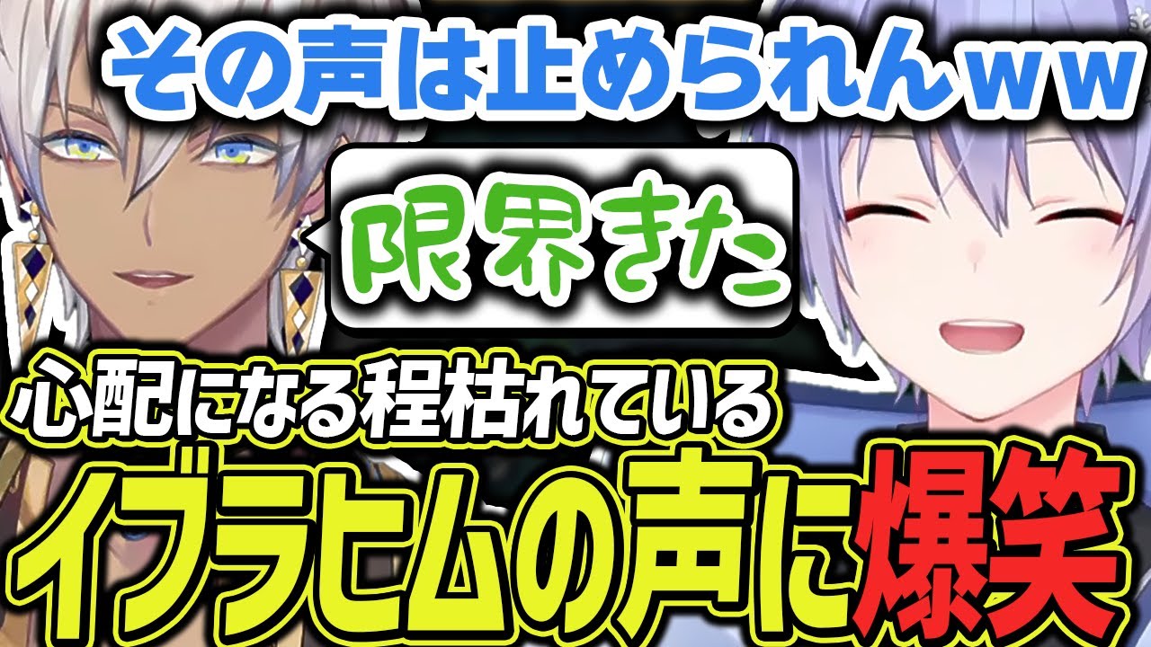 心配になるほど枯れているイブラヒムの声に爆笑するレイード【白雪レイド/イブラヒム/ありさか/フランシスコ/AlphaAzur/切り抜き】