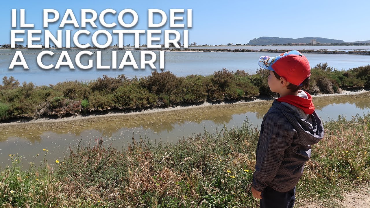 PARCO DEI FENICOTTERI A CAGLIARI