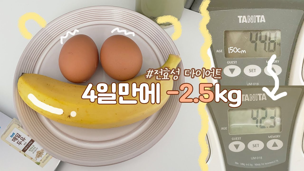 다이어트 브이로그 | 전효성 다이어트로 4일 동안 -2.5kg 급찐급빠 후기🔥| 처음 해보는 단기 연예인 다이어트