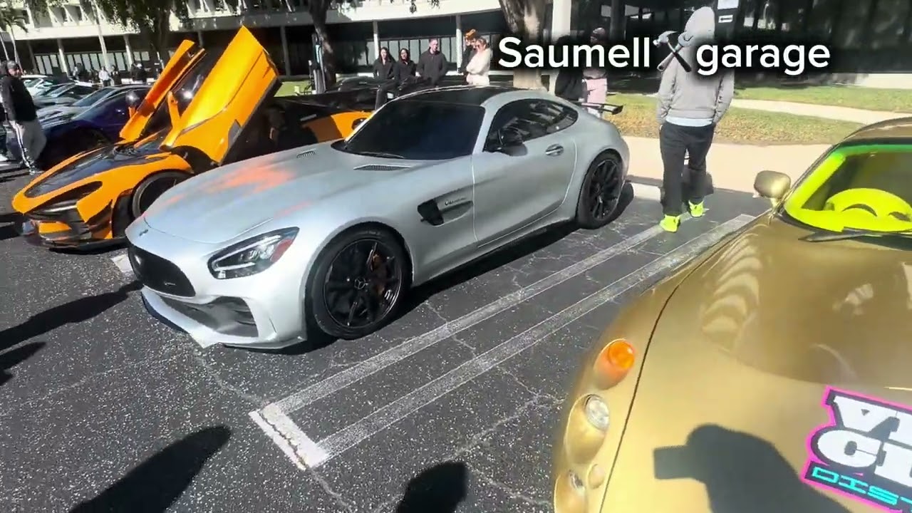 Evento de exoticos en boca de raton florida