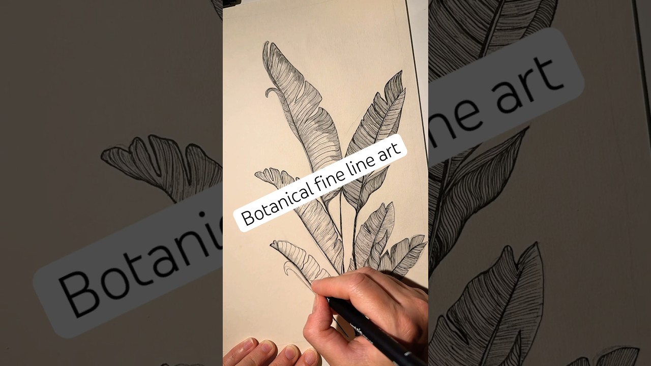 Botanical fine line art ▪️#art#fineline#finelineart#drawing#sketching#blackwork#illustration#banana