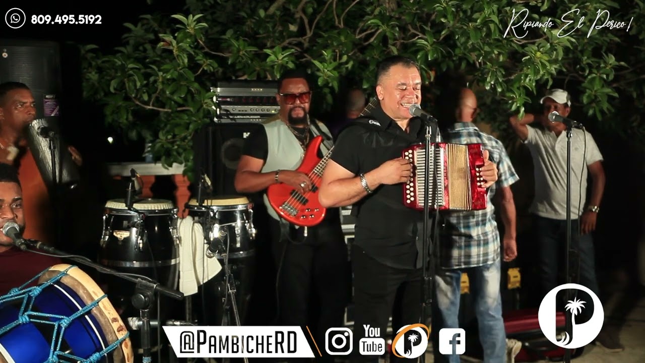 Andy Gutierrez - Los Camiones