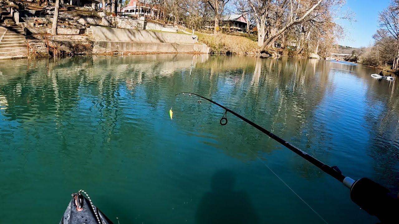 Can We Catch Rainbow Trout Using Bass Lures? Guadalupe River Trout Fishing