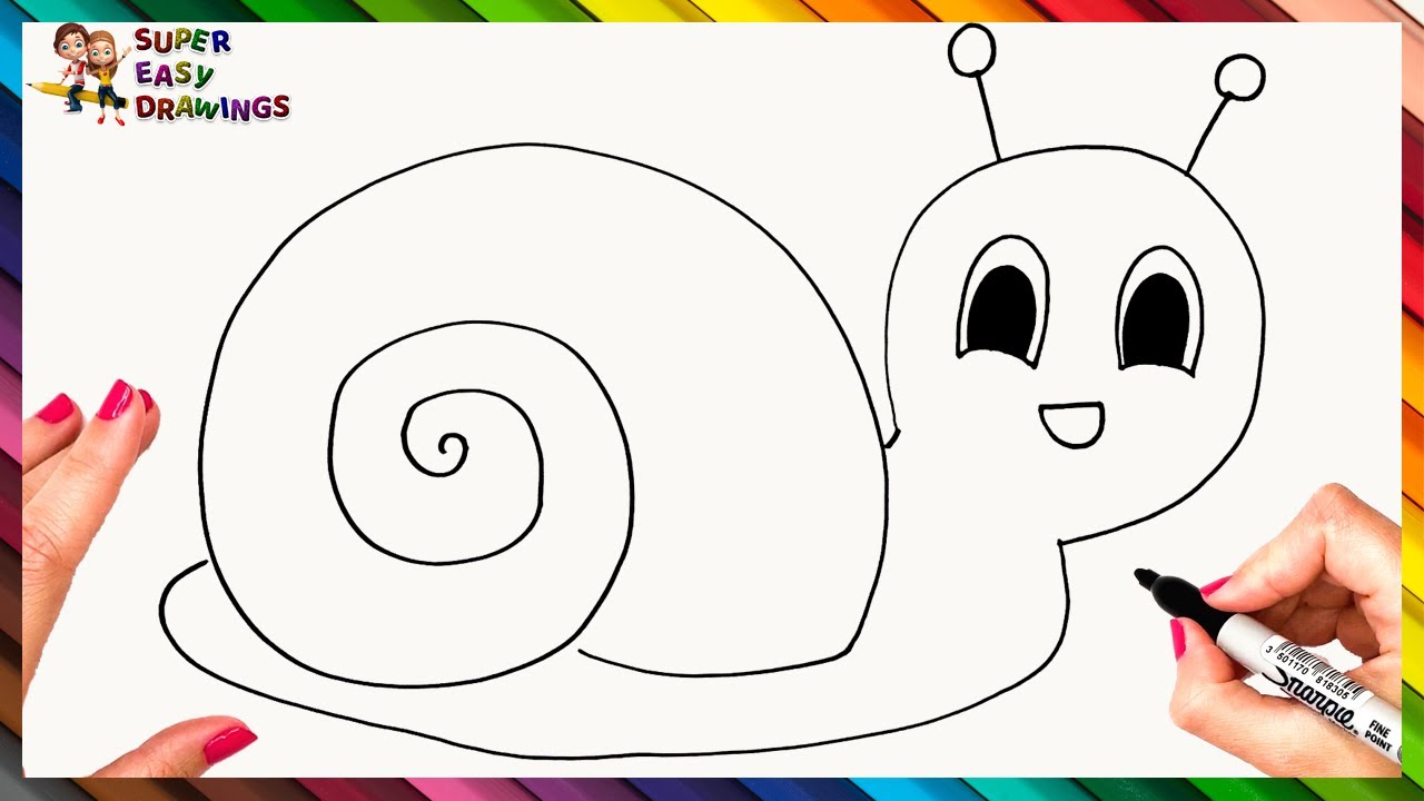 How To Draw A Snail Step By Step 🐌 Snail Drawing Easy