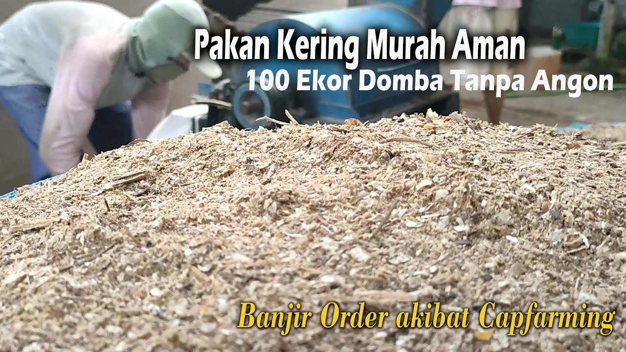 Pakan Kering Berkualitas Aman Breeding dan Fattening, simak ilmunya sang pakar