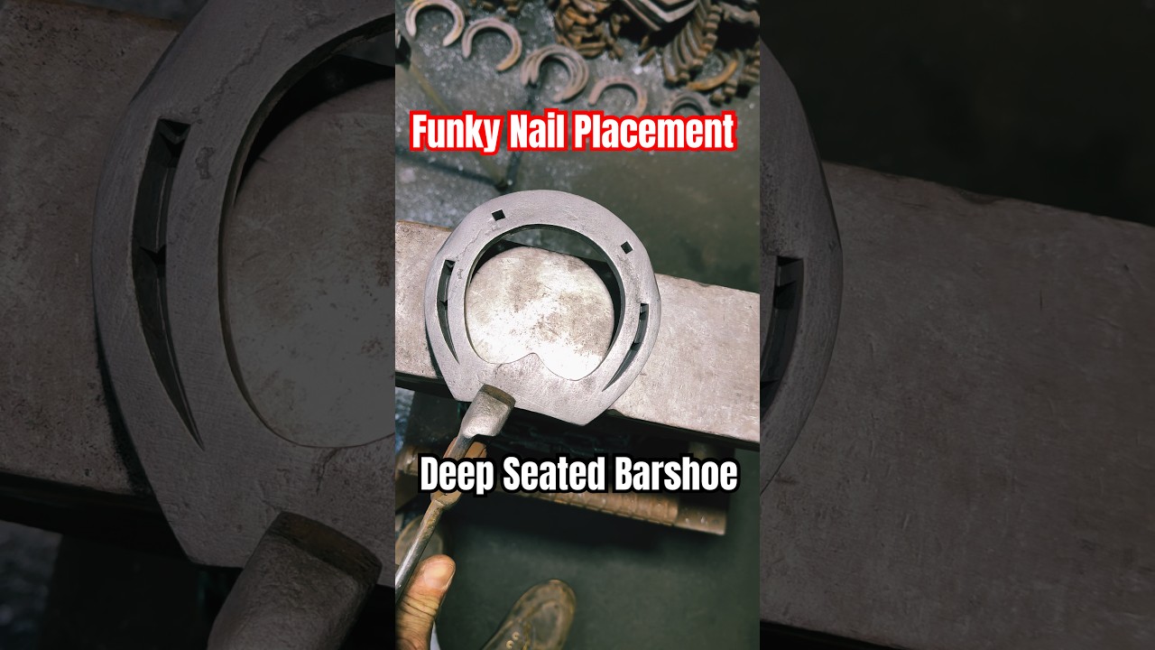 Notoriously Challenging Deep Seated Barshoe‼️