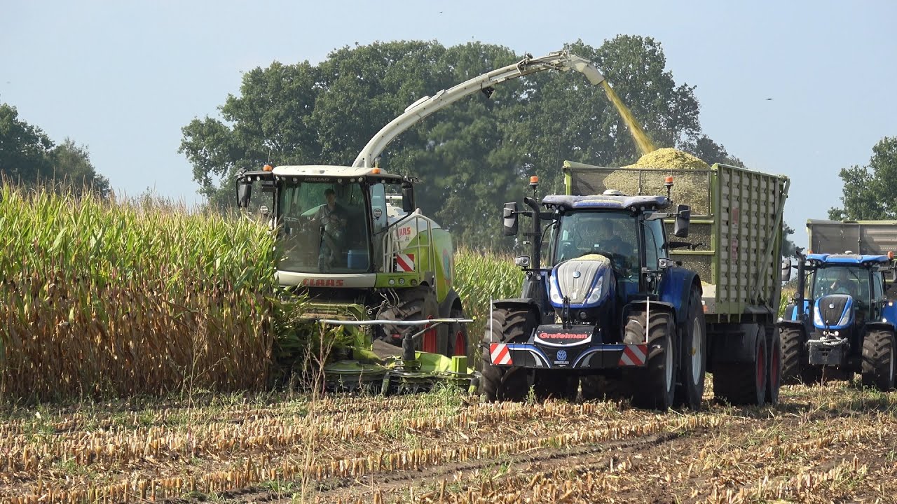 Mais hakselen met een Claas Jaguar 950 en New Holland T7 trekkers door loonbedrijf Grefelman (2025)