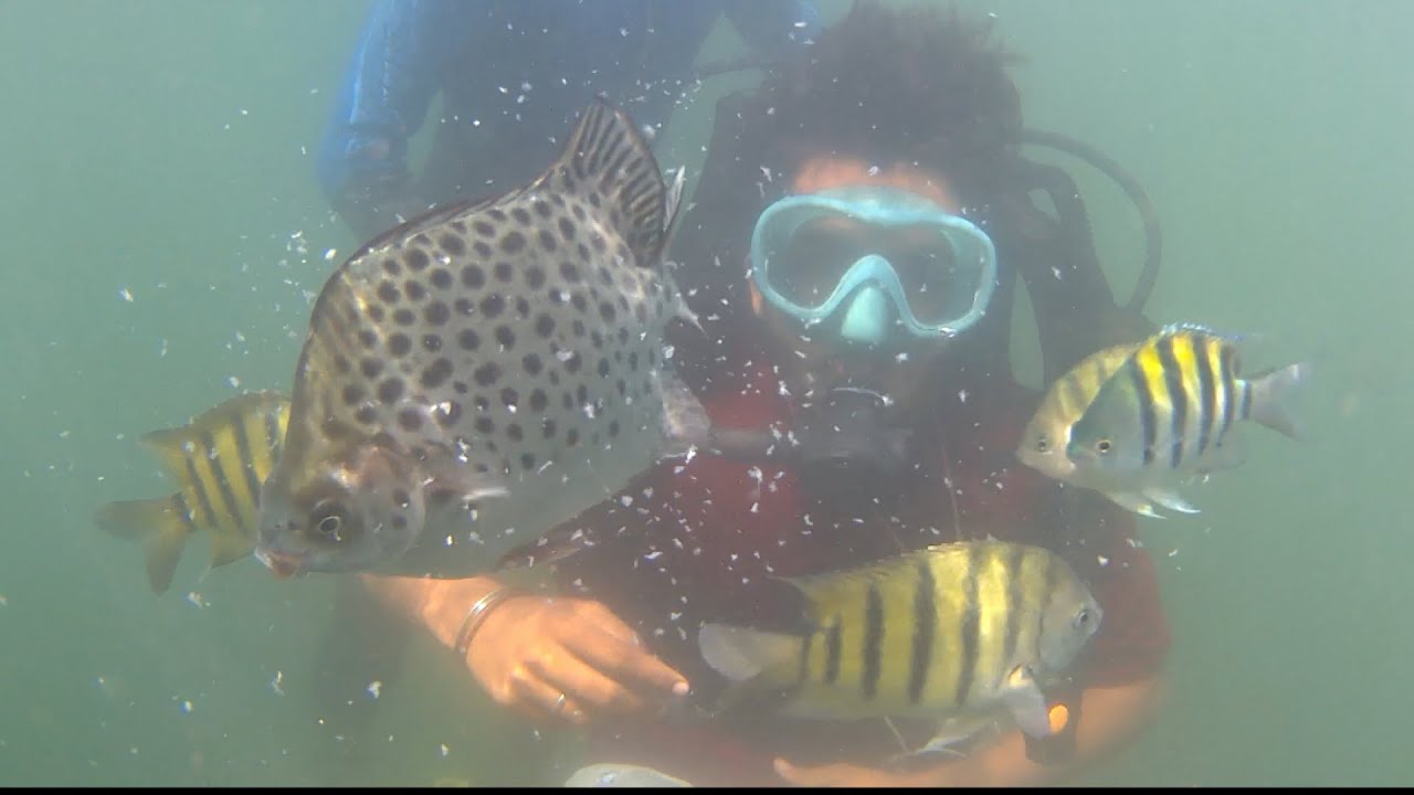 Scuba diving in goa(water activities)